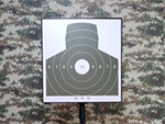 鼎电轻武器单兵射击训练系统(组图)
