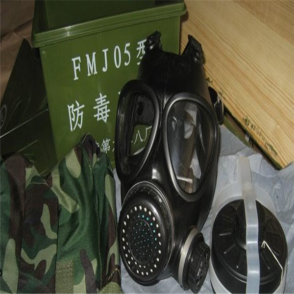 fmj10型防毒面具图片