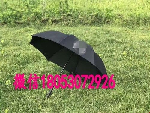 1649481301231625.jpg