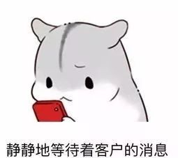 等客户消息表情包.jpg