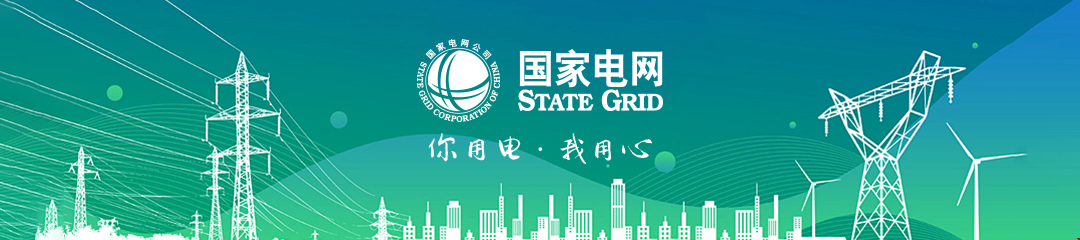 电网记录仪
