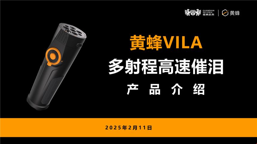 黄蜂Vila介绍(1)_01.jpg