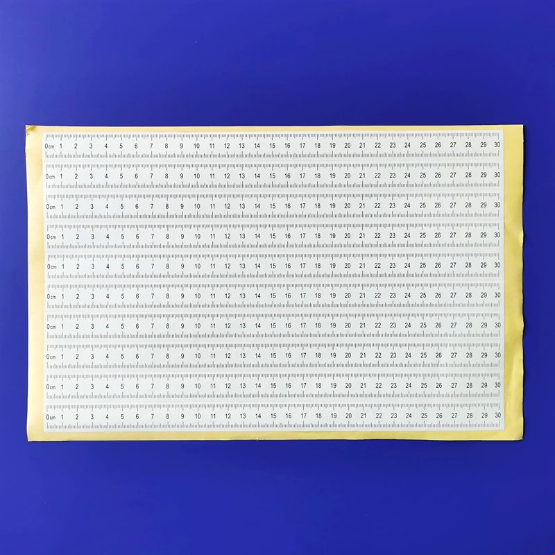 白色不干胶比例尺【30cm】足迹用.jpg